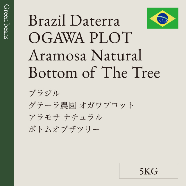 生豆 ブラジル ダテーラ農園<br> OGAWA PLOT アラモサ <br>ナチュラル<br> Bottom Of The Tree 5KG