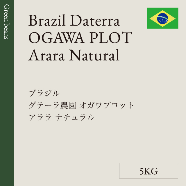 生豆 ブラジル ダテーラ農園<br> OGAWA PLOT アララ <br>ナチュラル 5KG