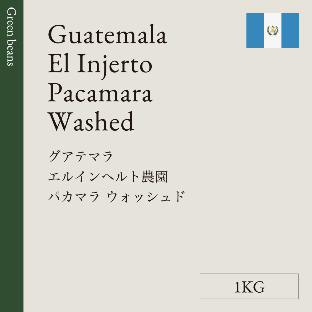 生豆  グアテマラ  エルインヘルト農園 パカマラ  ウォッシュド  1KG